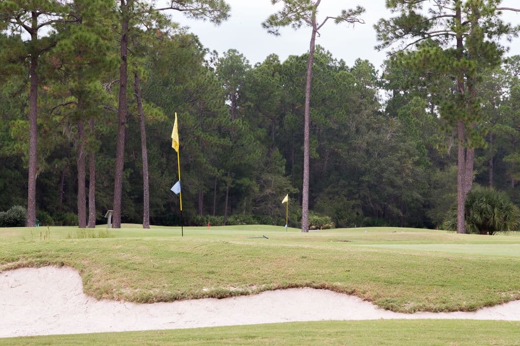 Pine trees, a putting green and a sand bunker at Ironwood Golf Course